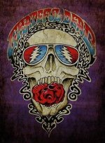 The Grateful Dead Art - Fine Art America.jpeg